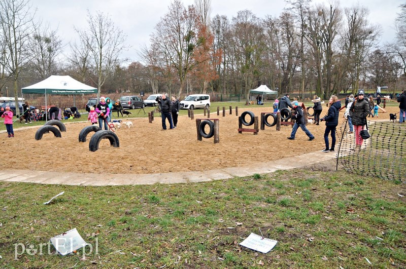 Psy będą mogły się tu wyszaleć do woli zdjęcie nr 118005