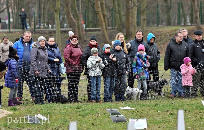 Psy będą mogły się tu wyszaleć do woli zdjęcie nr 118021