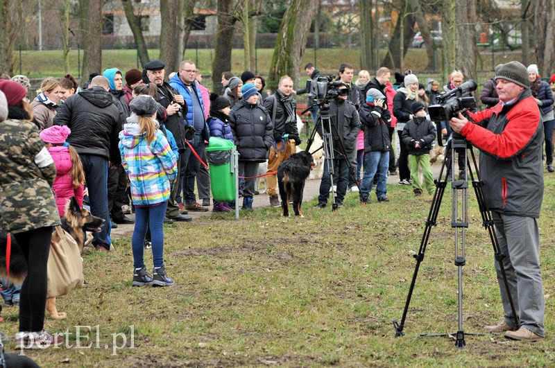 Psy będą mogły się tu wyszaleć do woli zdjęcie nr 118016