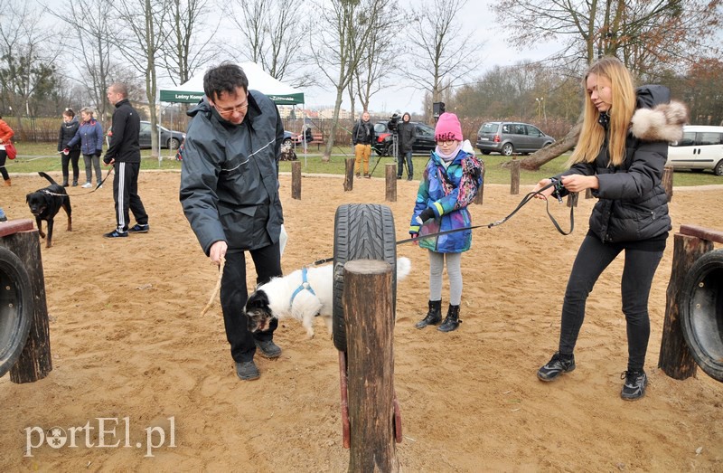 Psy będą mogły się tu wyszaleć do woli zdjęcie nr 118004