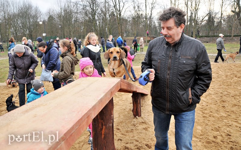 Psy będą mogły się tu wyszaleć do woli zdjęcie nr 118010