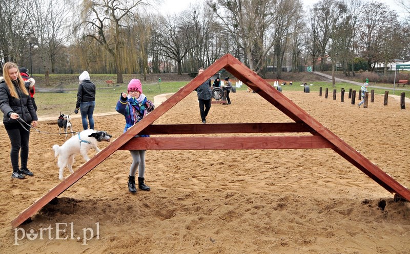 Psy będą mogły się tu wyszaleć do woli zdjęcie nr 118009