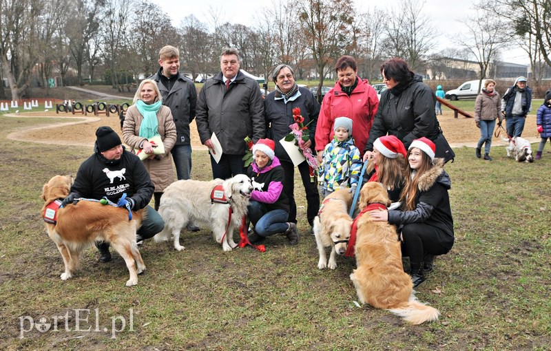 Psy będą mogły się tu wyszaleć do woli zdjęcie nr 117998