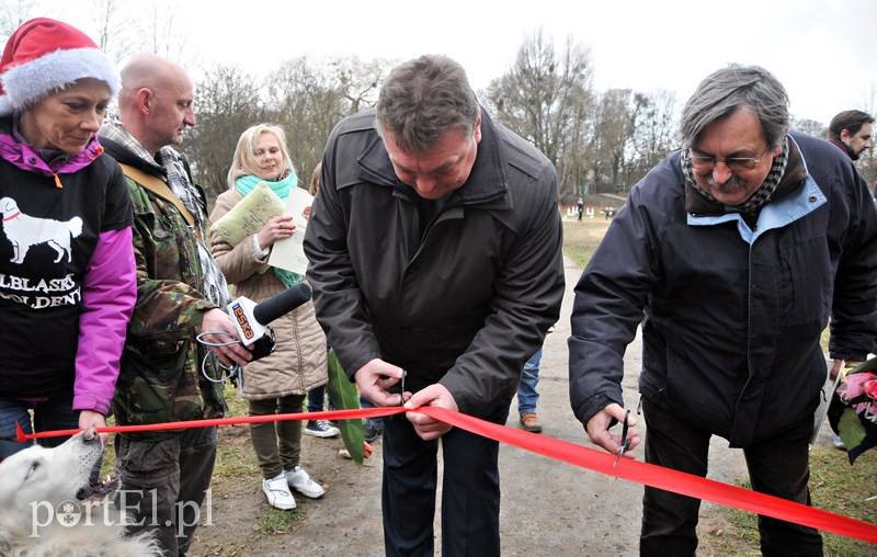 Psy będą mogły się tu wyszaleć do woli zdjęcie nr 117997