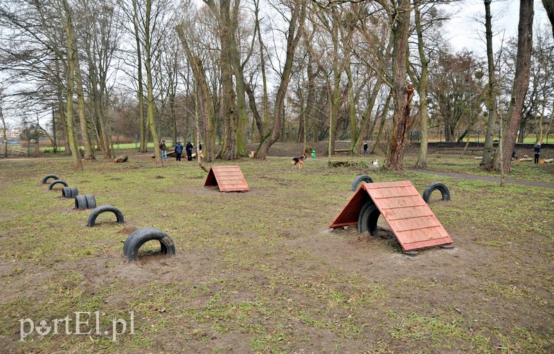 Psy będą mogły się tu wyszaleć do woli zdjęcie nr 118002