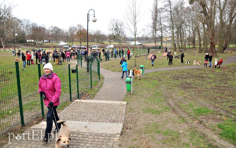 Psy będą mogły się tu wyszaleć do woli zdjęcie nr 117999