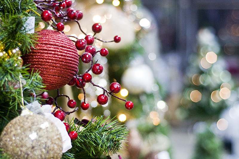 U nich znajdziesz to, czego szukasz zdjęcie nr 118153