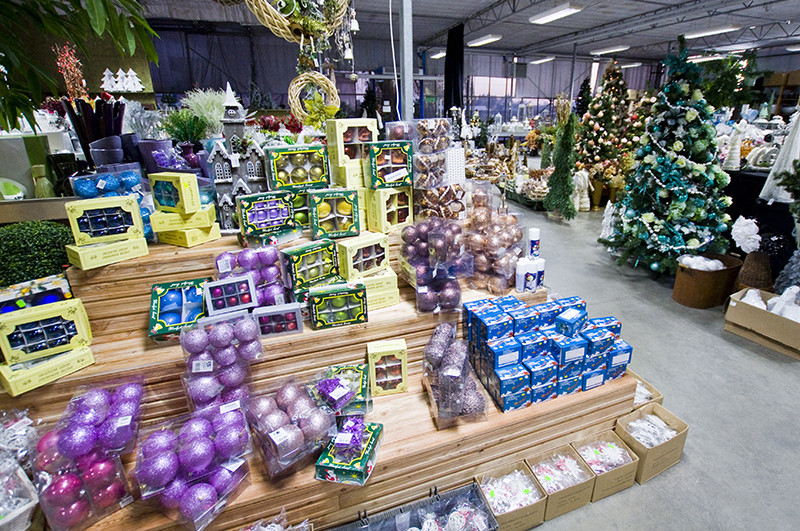 Elbląg U nich znajdziesz to, czego szukasz