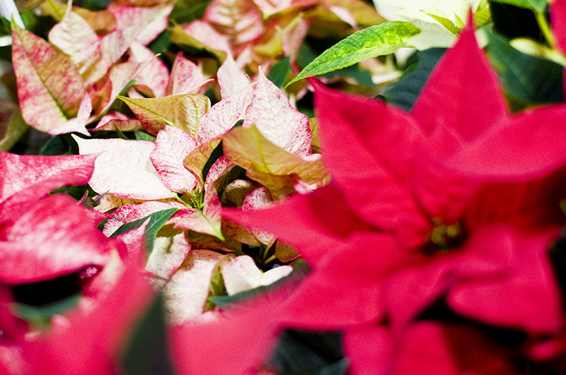 U nich znajdziesz to, czego szukasz zdjęcie nr 118167