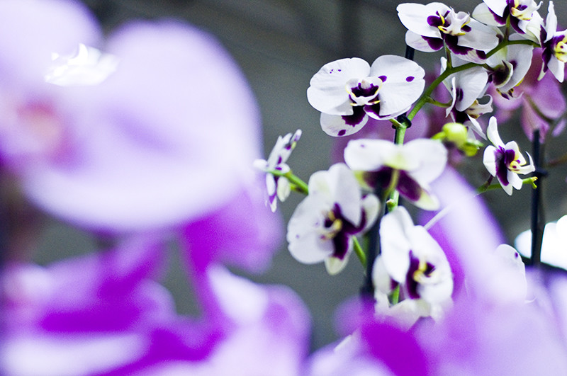 U nich znajdziesz to, czego szukasz zdjęcie nr 118166