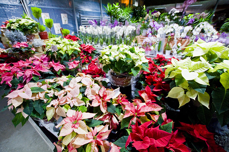 U nich znajdziesz to, czego szukasz zdjęcie nr 118168