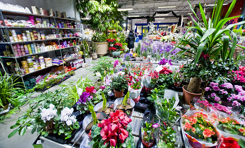 U nich znajdziesz to, czego szukasz zdjęcie nr 118163