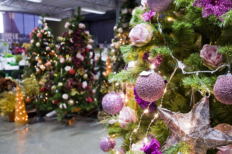 U nich znajdziesz to, czego szukasz zdjęcie nr 118145