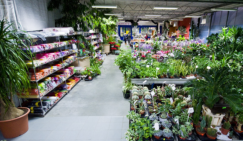 U nich znajdziesz to, czego szukasz zdjęcie nr 118164