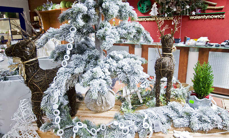 U nich znajdziesz to, czego szukasz zdjęcie nr 118159