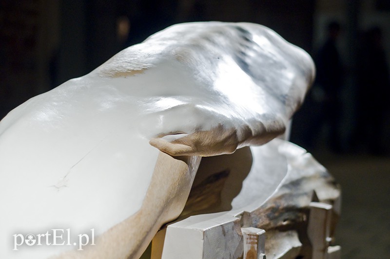 Ta przestrzeń zobowiązuje zdjęcie nr 118300