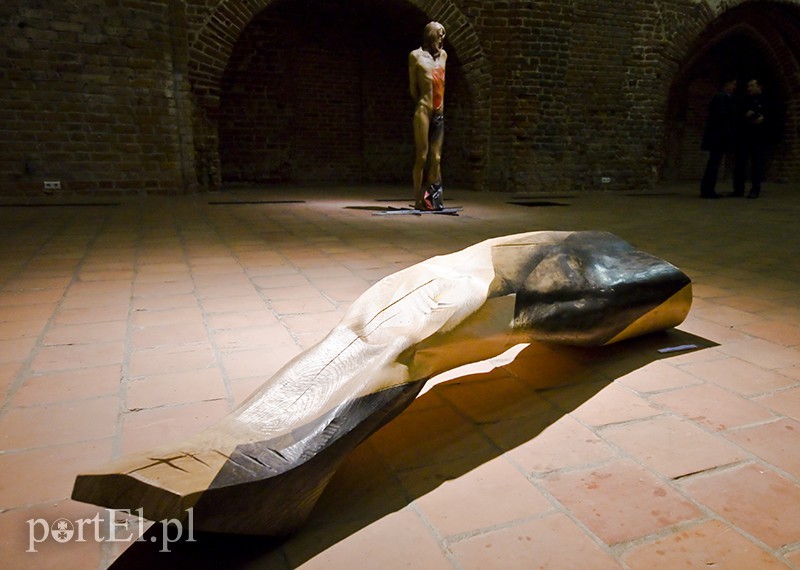 Ta przestrzeń zobowiązuje zdjęcie nr 118290