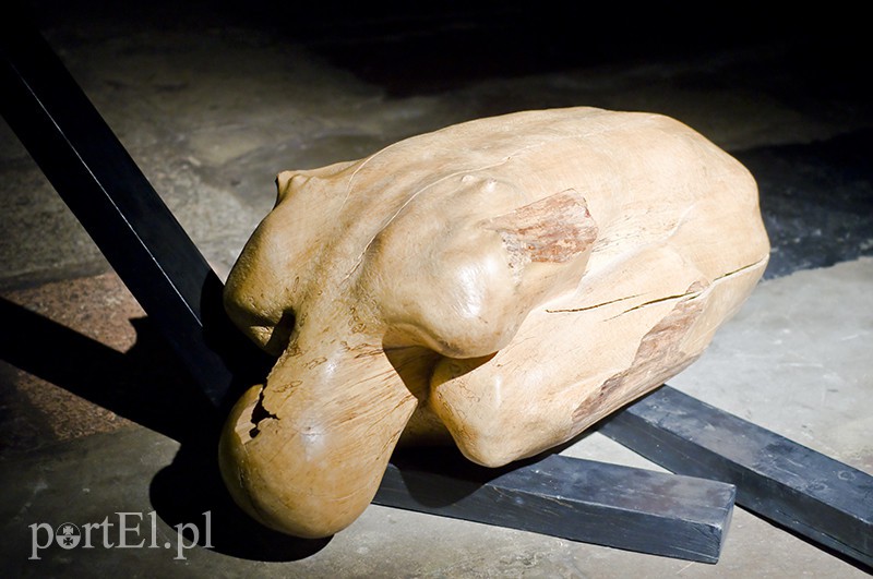 Ta przestrzeń zobowiązuje zdjęcie nr 118294