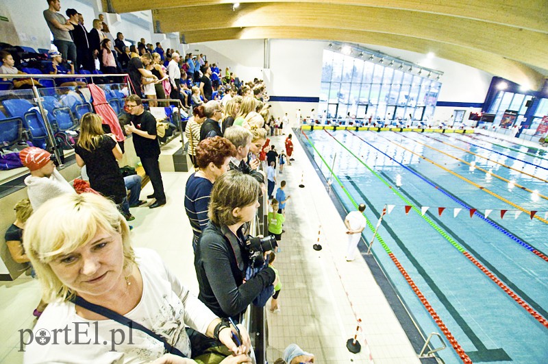  Rywalizacja z uśmiechem na twarzy zdjęcie nr 118456