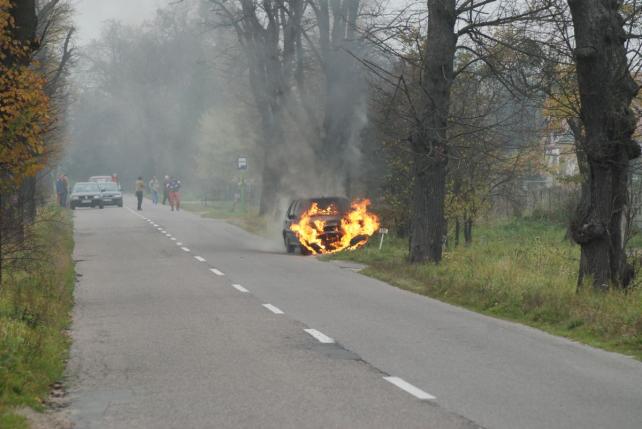 Elbląg Płonący polonez