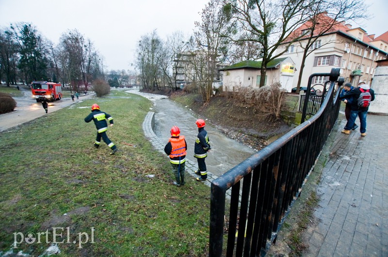  Kra zatrzymała Kumielę zdjęcie nr 121213