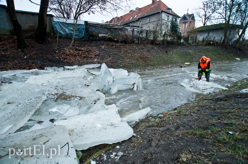  Kra zatrzymała Kumielę zdjęcie nr 121224