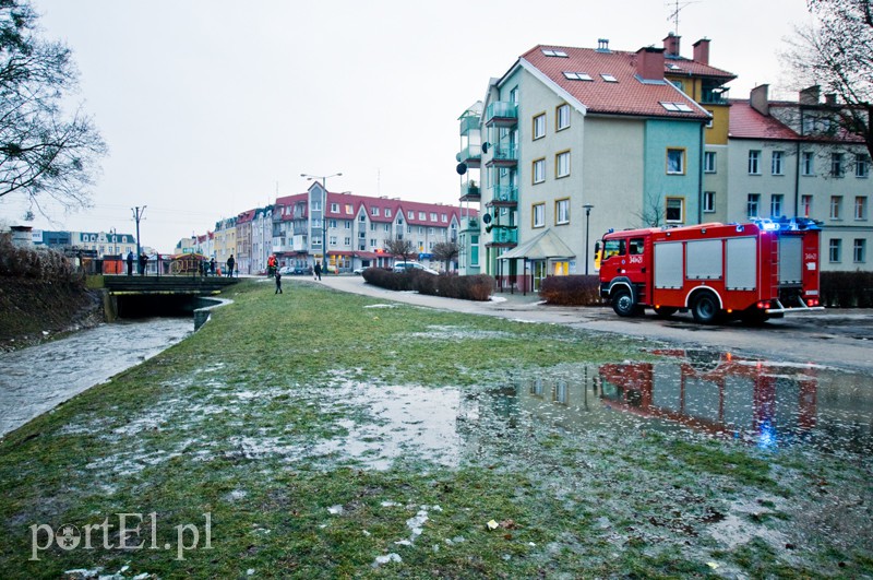  Kra zatrzymała Kumielę zdjęcie nr 121216