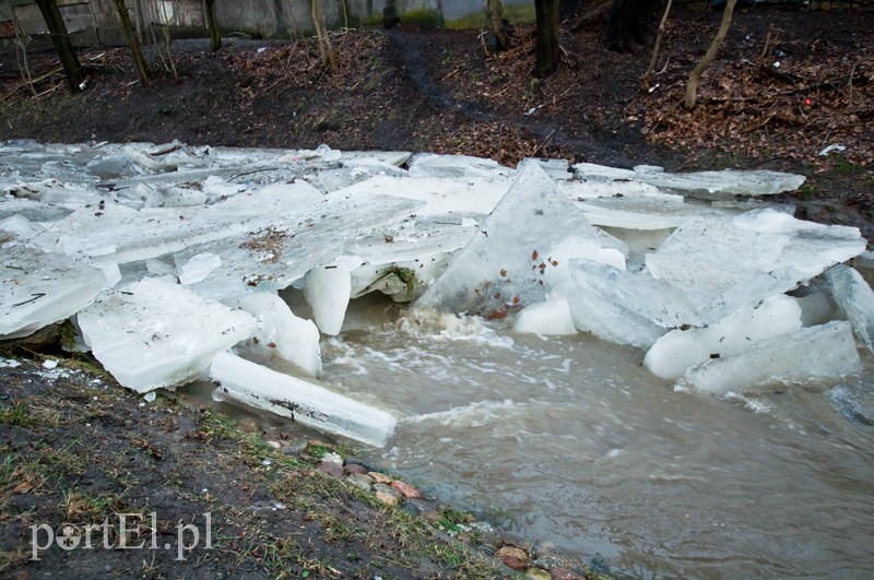  Kra zatrzymała Kumielę zdjęcie nr 121215