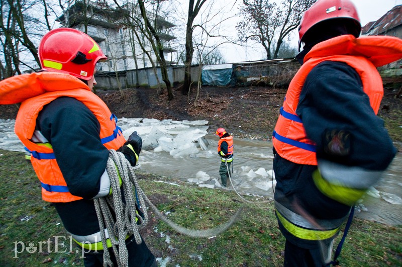  Kra zatrzymała Kumielę zdjęcie nr 121226