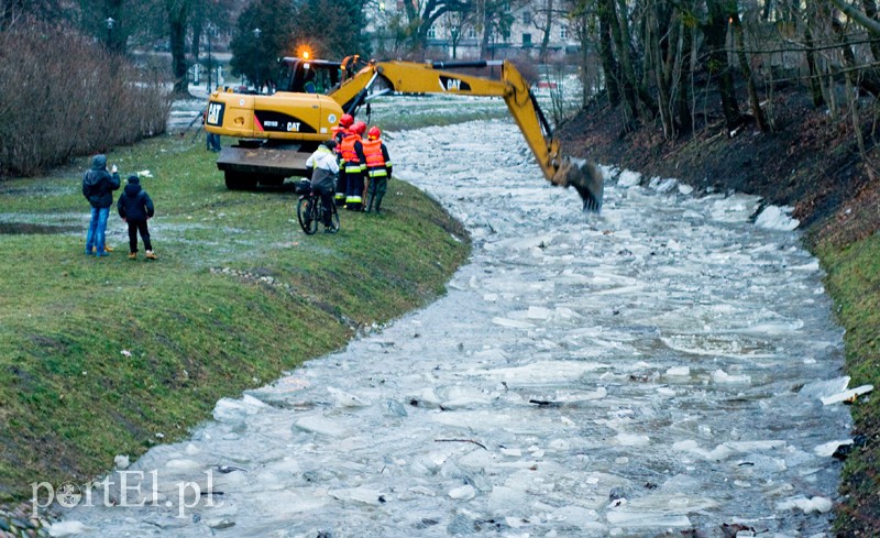  Kra zatrzymała Kumielę zdjęcie nr 121232