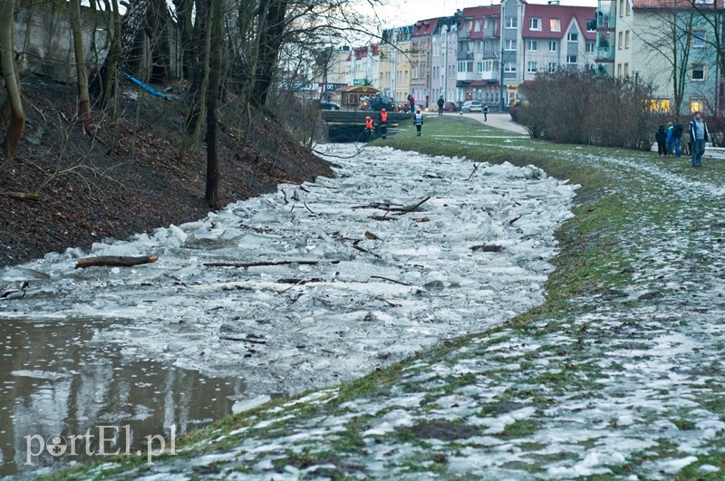  Kra zatrzymała Kumielę zdjęcie nr 121220