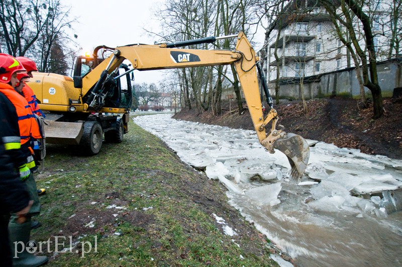  Kra zatrzymała Kumielę zdjęcie nr 121230