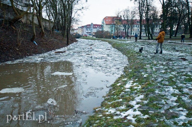  Kra zatrzymała Kumielę zdjęcie nr 121219