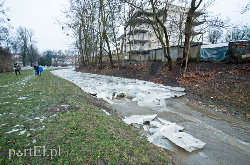  Kra zatrzymała Kumielę zdjęcie nr 121214