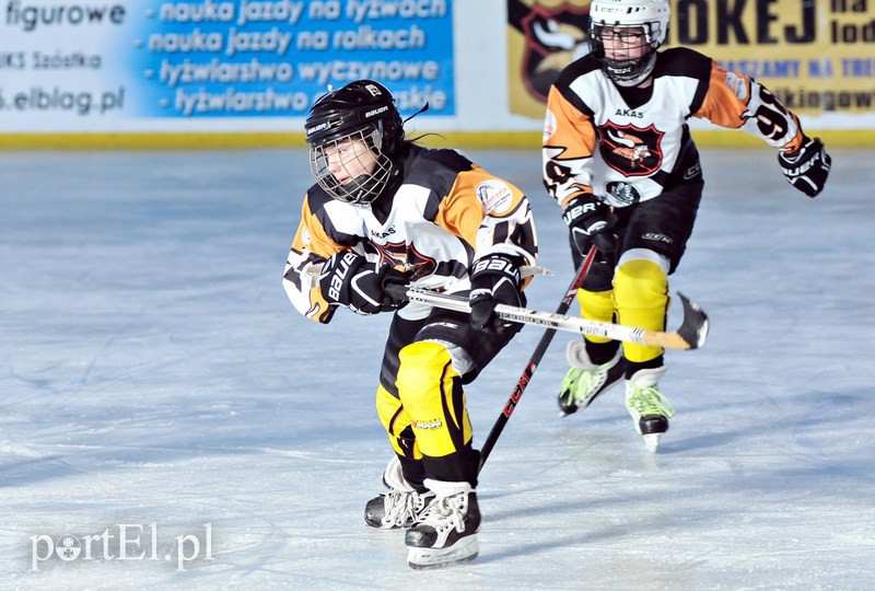 Wikingowie na lodzie zdjęcie nr 121712