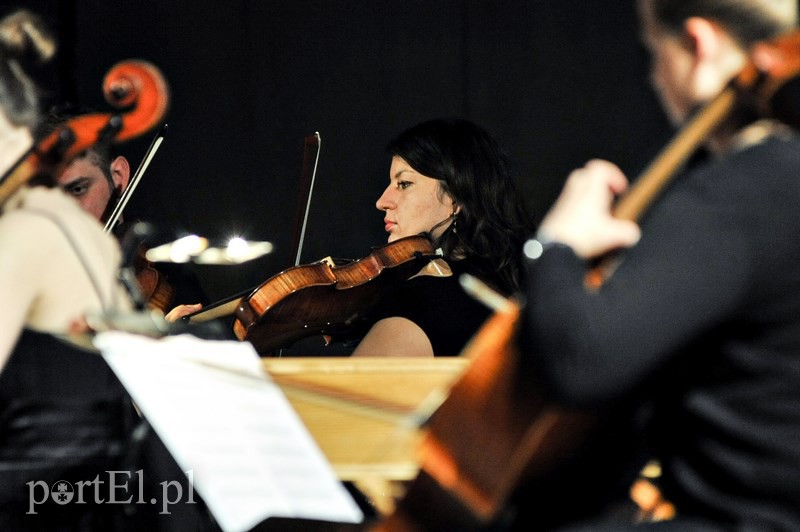 Święto smyczków w Elbląskiej Orkiestrze Kameralnej zdjęcie nr 122465