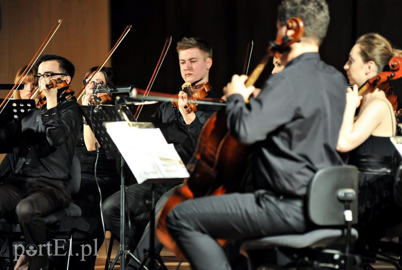 Święto smyczków w Elbląskiej Orkiestrze Kameralnej zdjęcie nr 122458