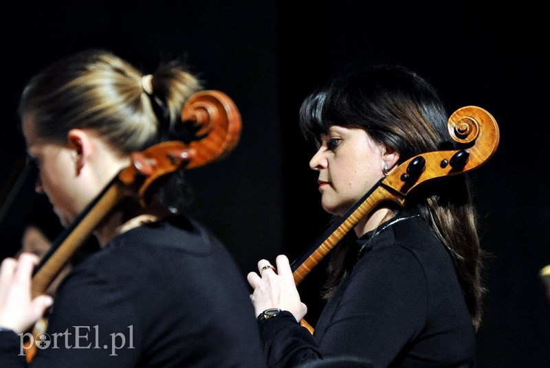 Święto smyczków w Elbląskiej Orkiestrze Kameralnej zdjęcie nr 122464