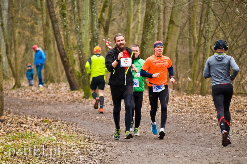 Półmaraton leśny zdjęcie nr 123100