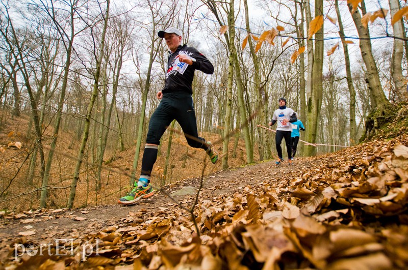 Półmaraton leśny zdjęcie nr 123094