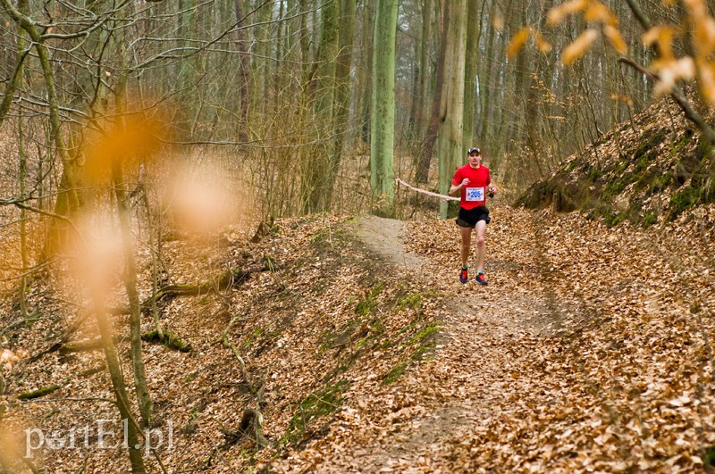 Półmaraton leśny zdjęcie nr 123087