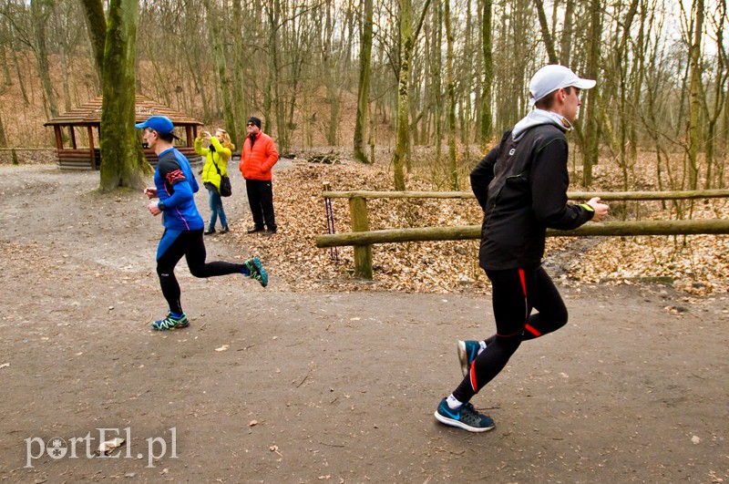 Półmaraton leśny zdjęcie nr 123099