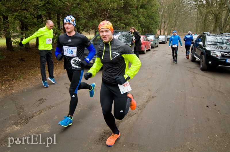 Półmaraton leśny zdjęcie nr 123067