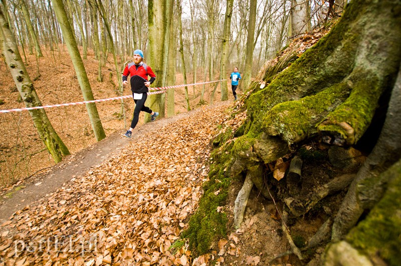 Półmaraton leśny zdjęcie nr 123092