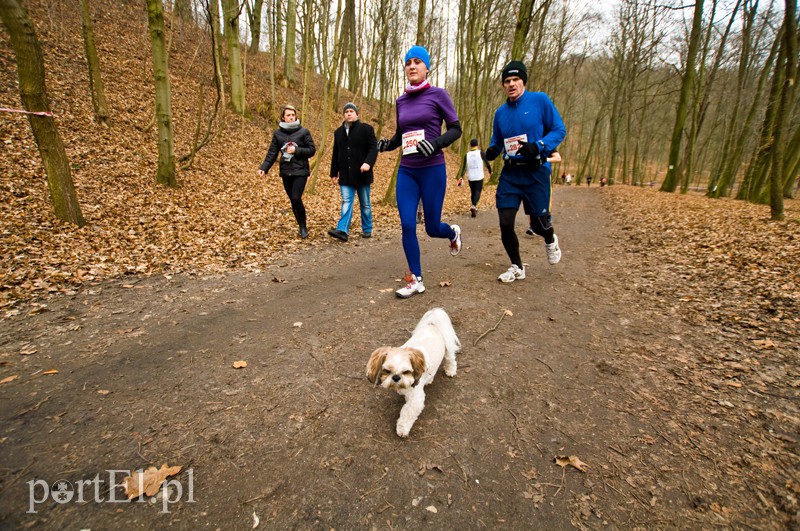 Półmaraton leśny zdjęcie nr 123106