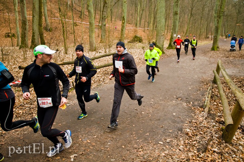 Półmaraton leśny zdjęcie nr 123104