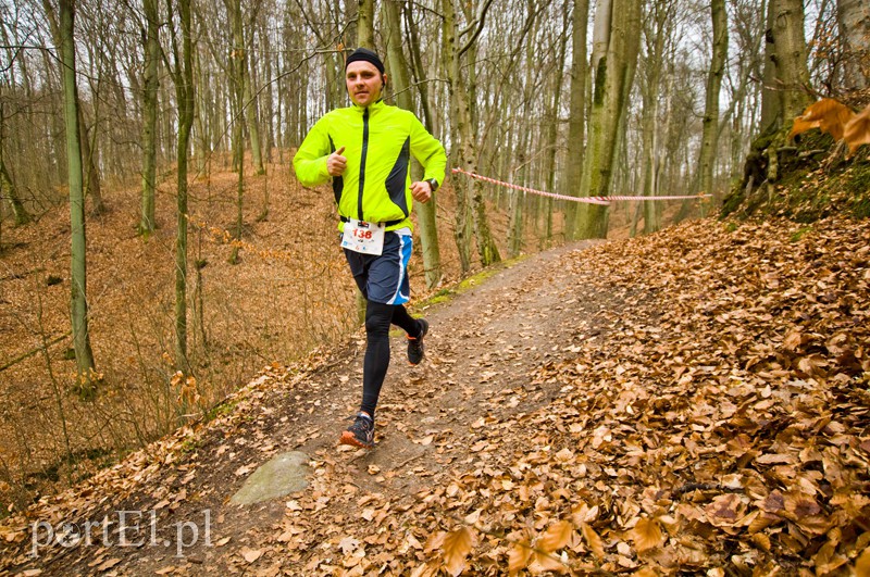 Półmaraton leśny zdjęcie nr 123093