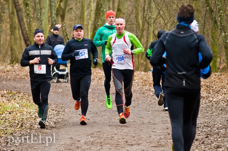 Półmaraton leśny zdjęcie nr 123102