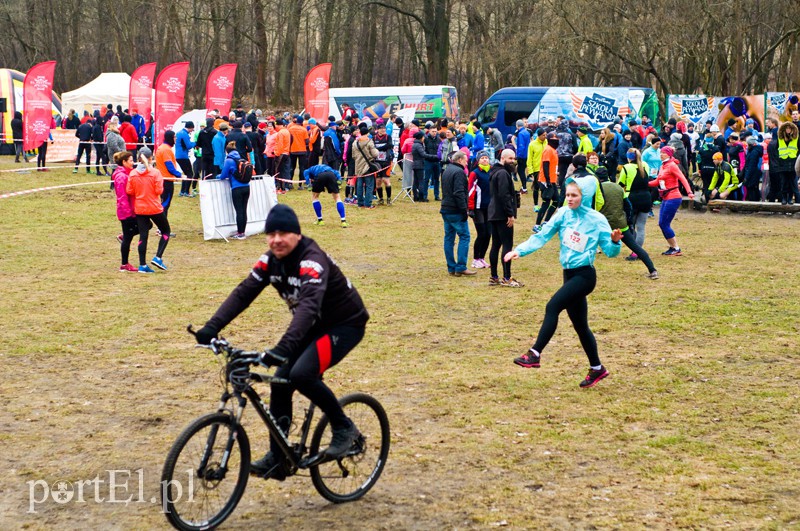 Półmaraton leśny zdjęcie nr 123078