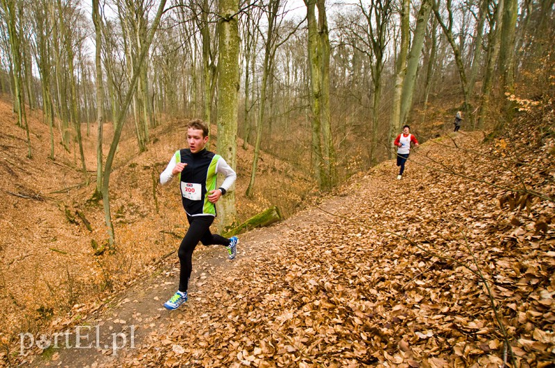 Półmaraton leśny zdjęcie nr 123091